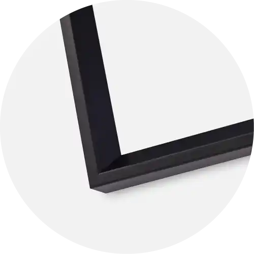 Reduceri Rama Globe Sticla Negru 15x20 cm