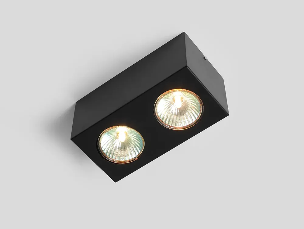 Premium Corp de iluminat pentru tavan FLASS 2 - negru