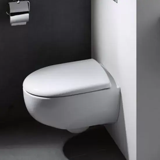 Preț mic Capac soft close vas wc, Quick Resease, Geberit Selnova Compact 500.335.01.1