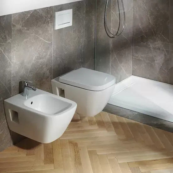 Capac vas wc soft close, dreptunghiular, Quick Resease, Geberit Selnova Square 501.557.01.1 Preț mic
