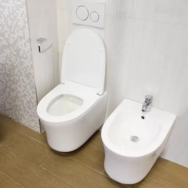 Nu rata Set vas wc suspendat, Rimless, cu capac soft-close, Fluminia Isolda