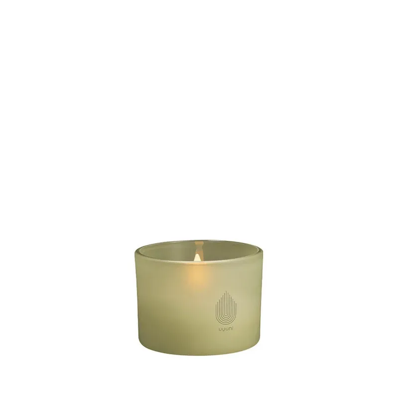 Popular Sticlă Deschis 8,2x6 cm Light Green Leaf - Uyuni Lighting