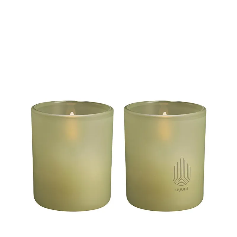 Noutate Sticlă Deschis 2-pack 6x7 cm Light Green Leaf - Uyuni Lighting