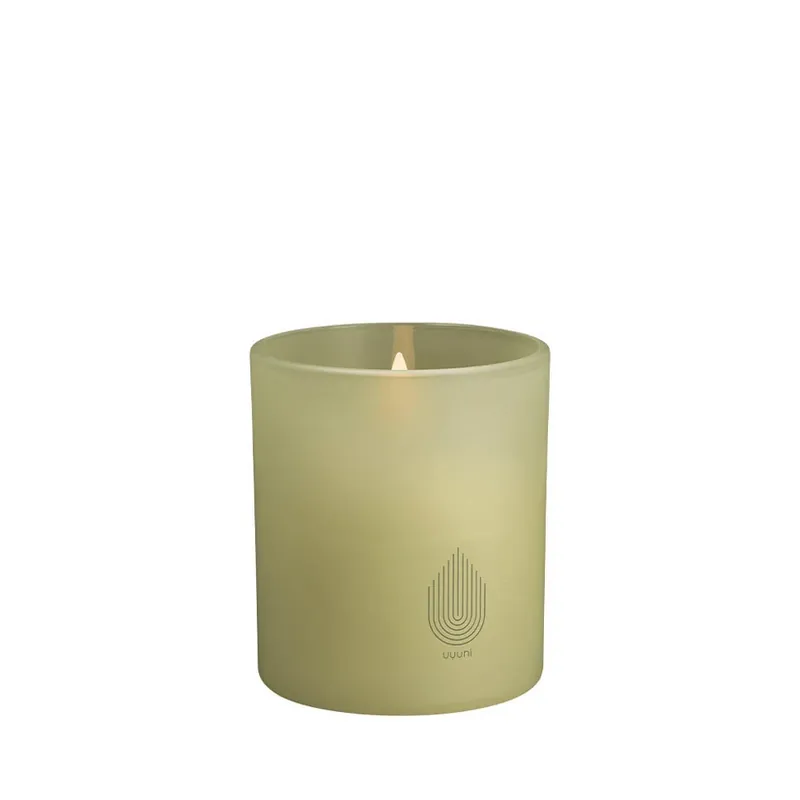 Cumpără online Sticlă Deschis 9,2x10,2 cm Light Green Leaf - Uyuni Lighting