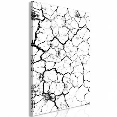 Tablou - Cracked Earth (1 Part) Vertical 80x120 cm Cumpără acum