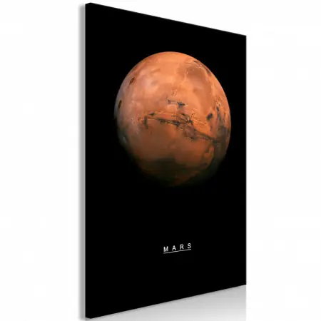 Comandă acum Tablou - Mars (1 Part) Vertical 40x60 cm