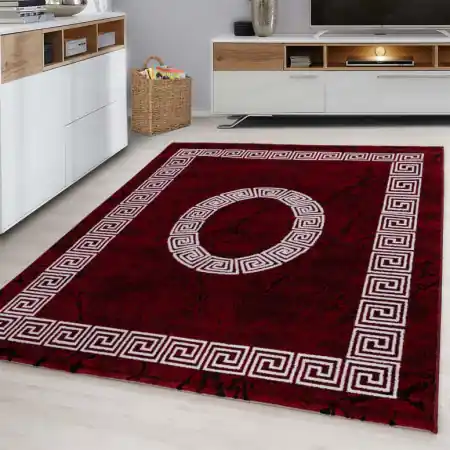 Retur ușor Covor Plus Rosu V2 200x290 cm