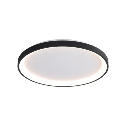 Lustra Raden Negru 1 x LED Ofertă specială
