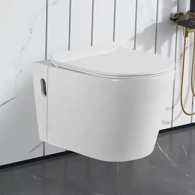 Vas de toaleta suspendat WC, cu capac SoftClose, LDPT-204 Plată securizată