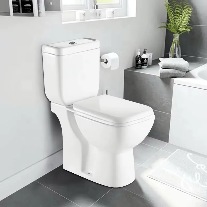 Set vas Wc cu rezervor si capac din polipropilena, LDPHS-7004 Discount