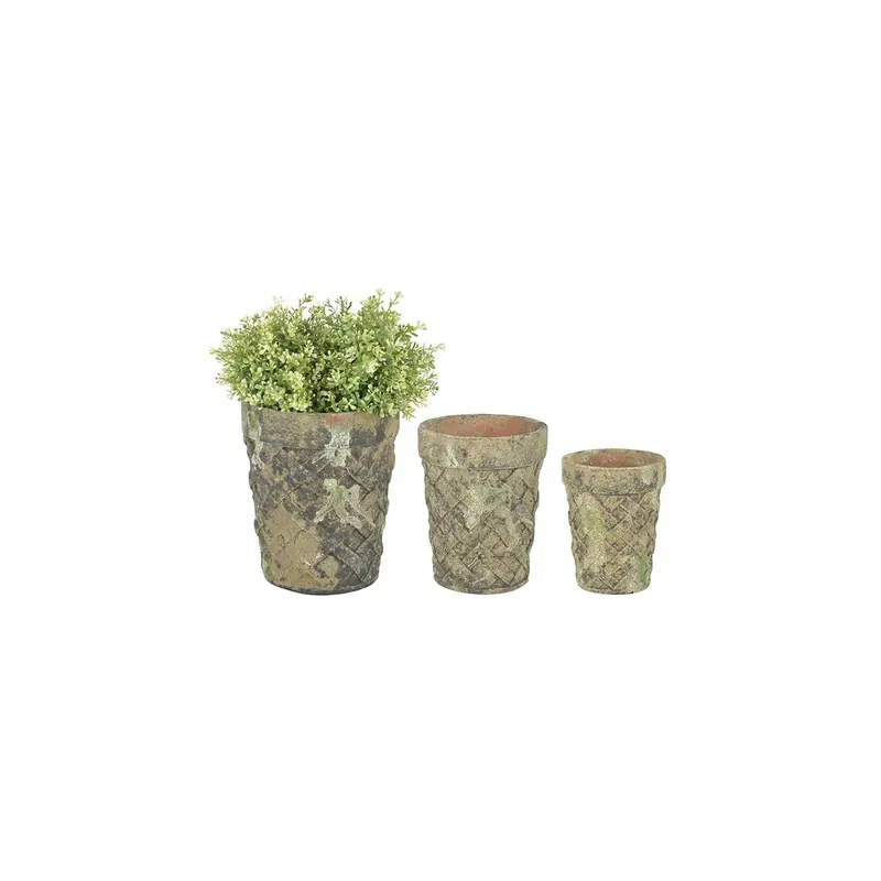 Set 3 ghivece Moss Godet Cumpără online
