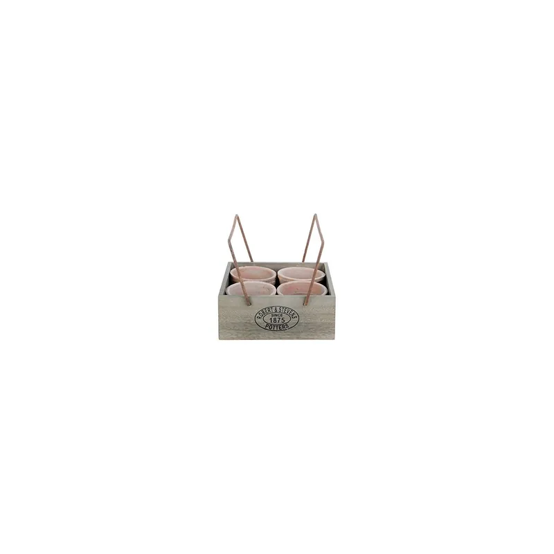 Preț mic Set rustic 4 ghivece in lada de lemn cu maner Esschert Design Olanda, 20x21,5x8 cm