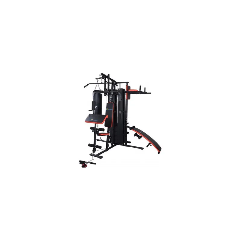 Doar azi Aparat multifunctional FitTronic HG800