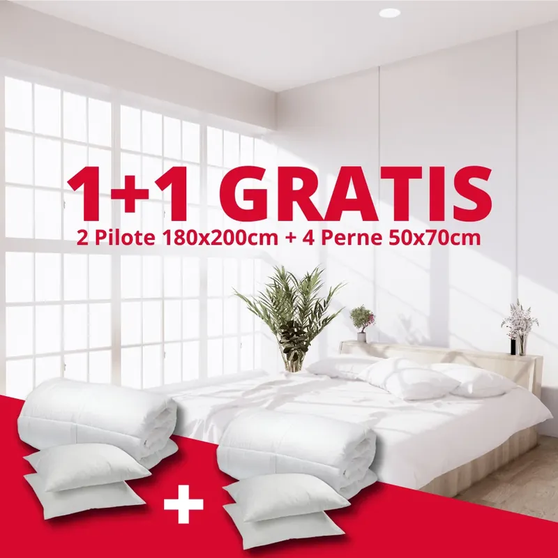 Set 1 Pilota + 2 Perne - 1+1 GRATIS - PM0055 Cumpără acum